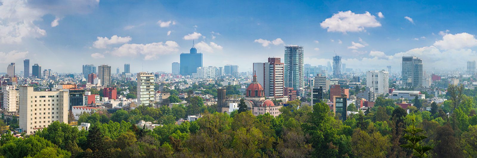 Top 5 Things To Do In Mexico City
