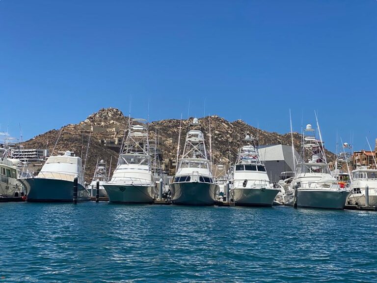 Top 5 Things To Do In Cabo San Lucas - Activity Authority