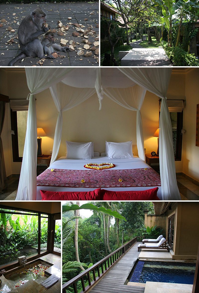 Bali Accommodations Komaneka At Monkey Forest