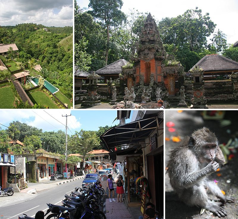 Bali Regions Ubud