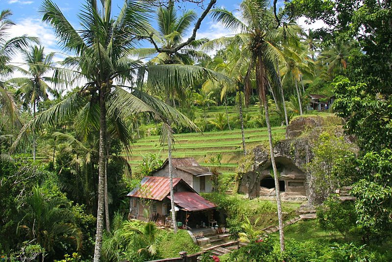 Bali Visa Information Scenery