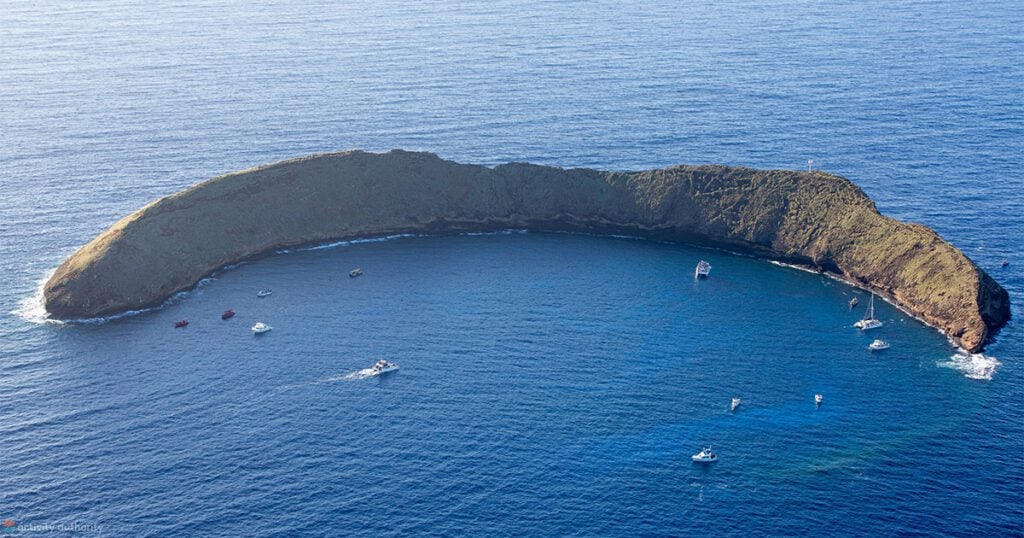 Molokini Snorkeling and Dive Spots Explained