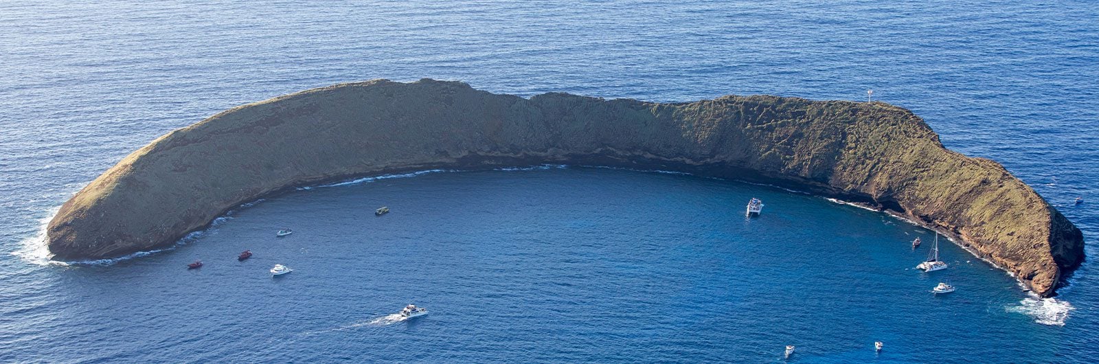 Molokini Snorkeling and Dive Spots Explained