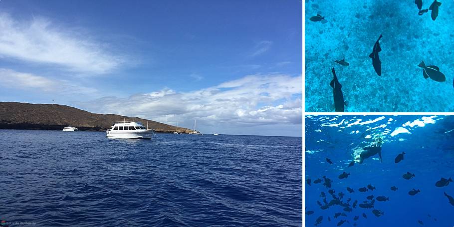 Molokini Snorkeling & Dive Spots Middle Reef
