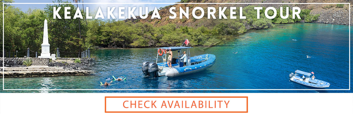 Kealakekua Snorkel Tour