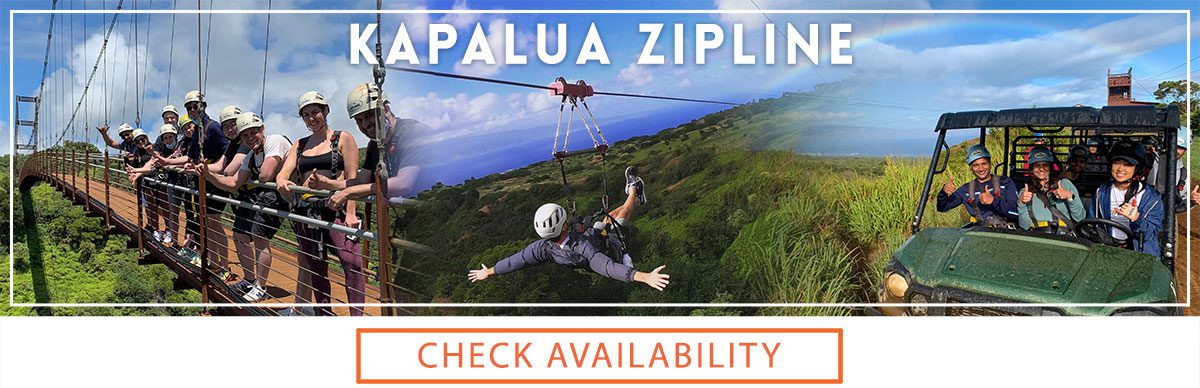 Kapalua Zipline