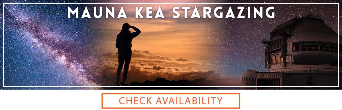 Mauna Kea Stargazing