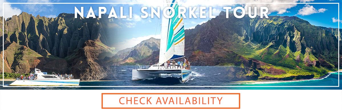 Napali Snorkel Tour