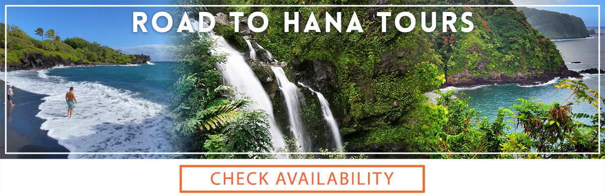 Road to Hana tours